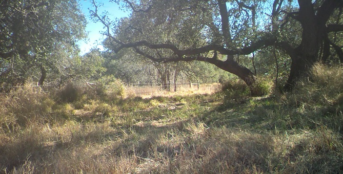 MOULTRIE DIGITAL GAME CAMERA