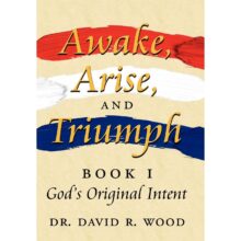 Awake Arise and Triumph Gods Original Intent book cover