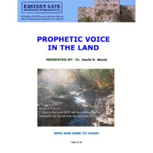Prophetic Voice in the Land Book Cover