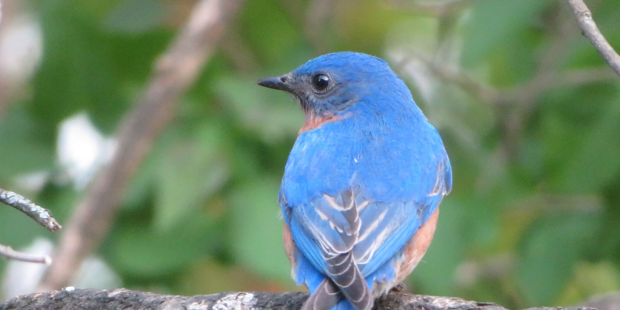 MARILYN STEVENS MAY 2023 (1)